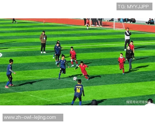 足球放定的魅力与挑战探讨如何提升青少年足球水平与参与度